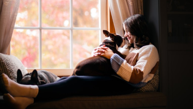 Caucasian person sat on the window seat of their house with a french bulldog on their lap and another french bulldog asleep at their feet